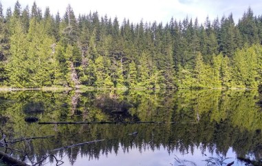 IMG_20180506_152216244_HDR (2)