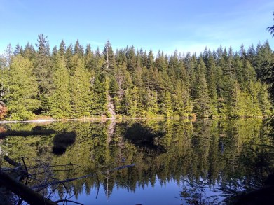 IMG_20181021_134928069_HDR