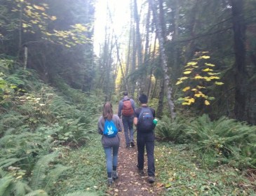 IMG_20181021_154044071