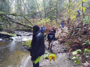 IMG_20181110_133450970