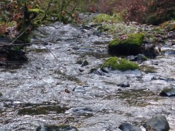 IMG_20181110_152854561