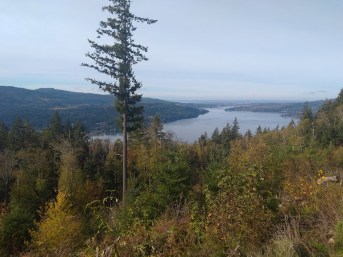 IMG_20181111_112809289